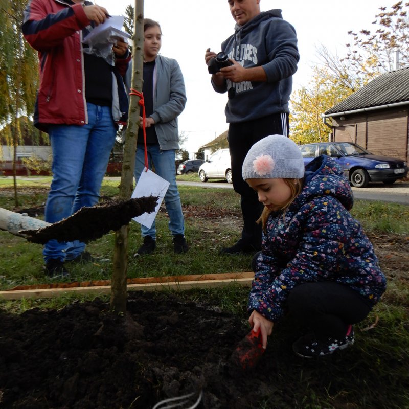 Közösségi faültetés Berettyóújfaluban 11